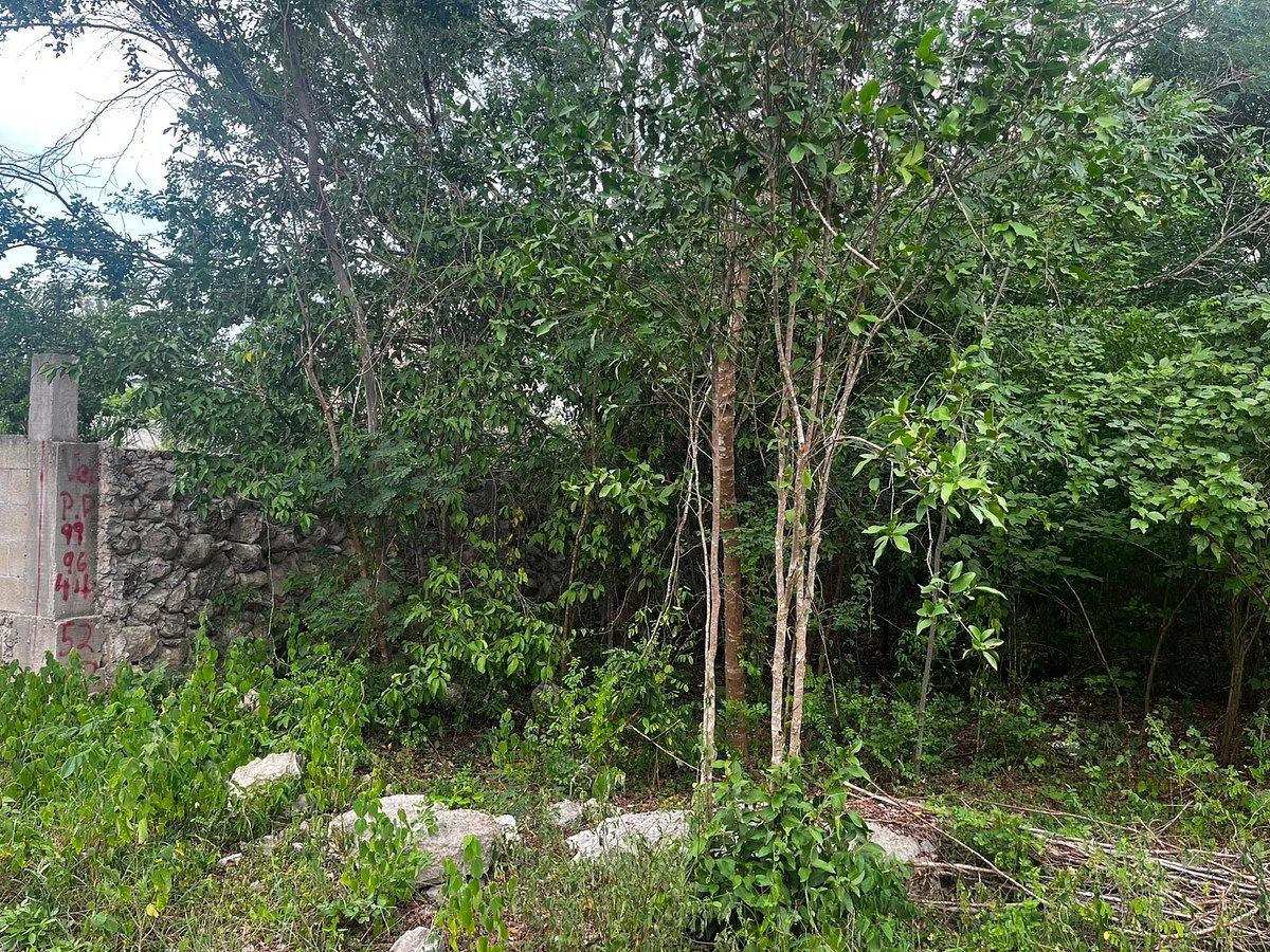 Lote em Paraíso, Progreso, foto 4 de 4