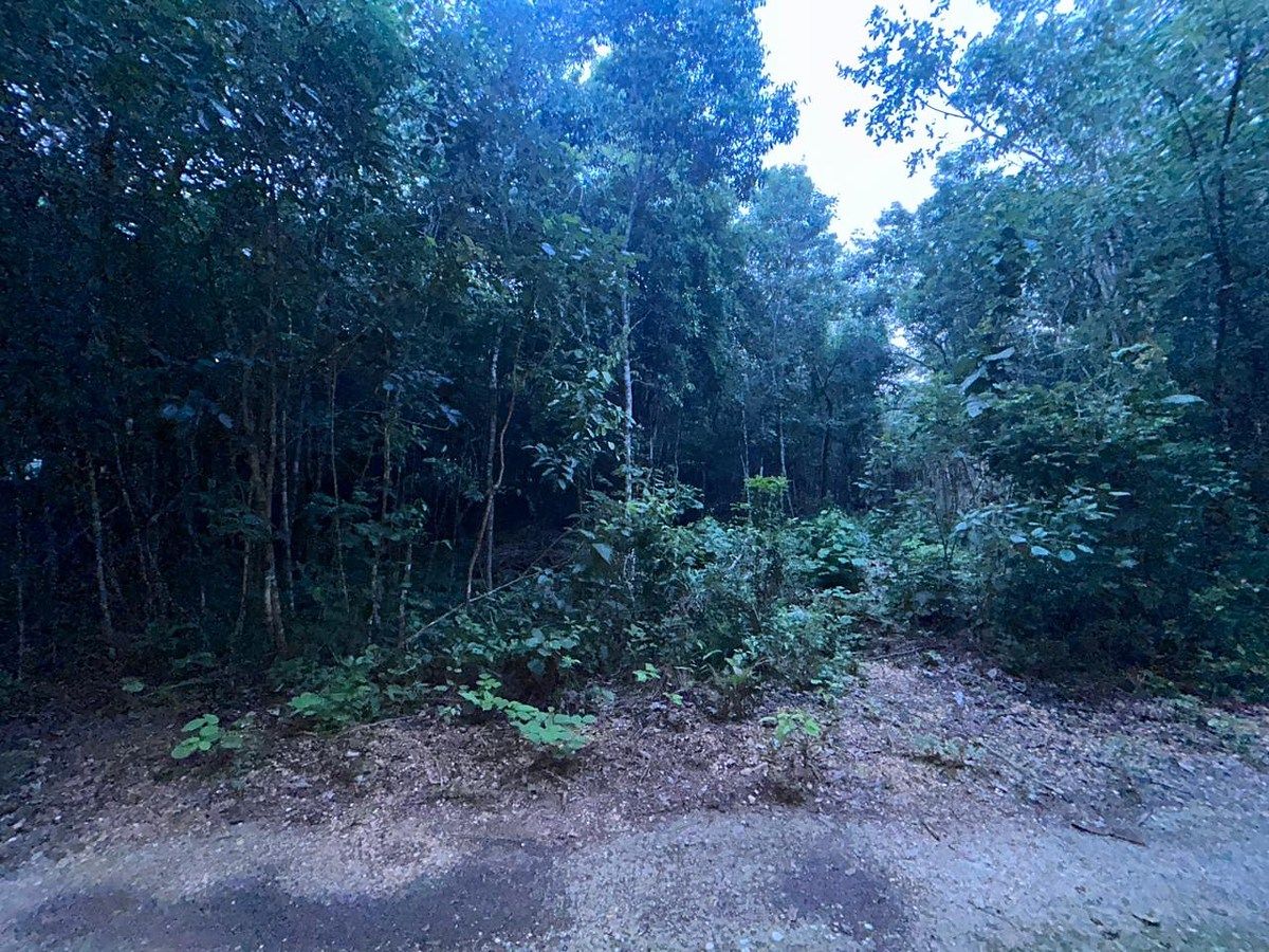 Terreno en Benito Juárez, Benito Juárez, foto 2 de 8