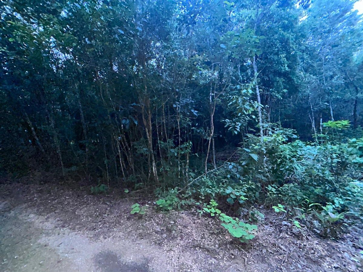 Terreno en Benito Juárez, Benito Juárez, foto 3 de 8