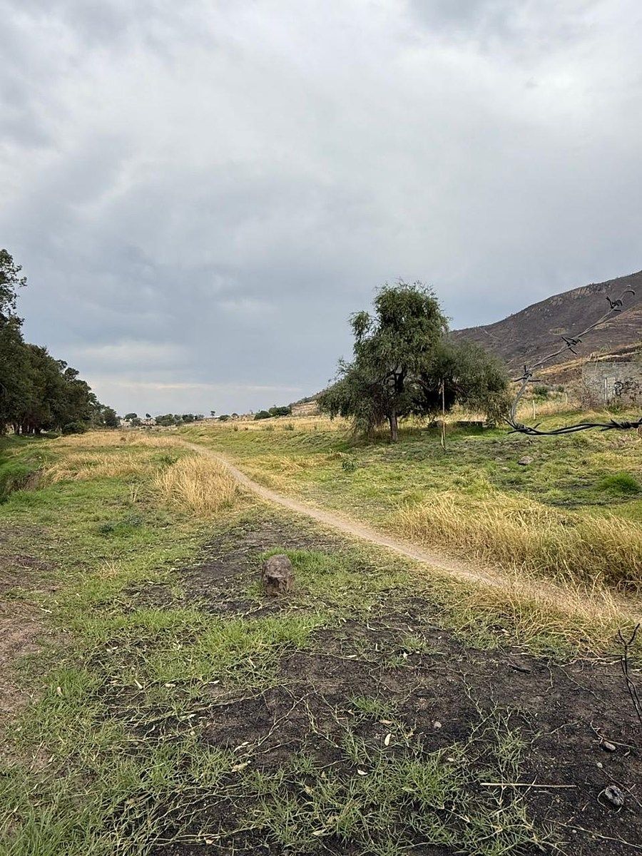 Lote em Los Abedúles, Tlajomulco de Zúñiga, foto 3 de 8