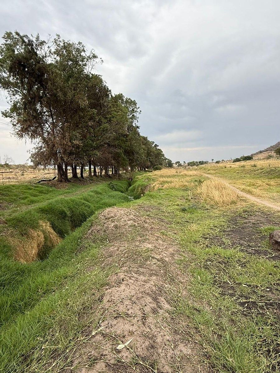 Lote em Los Abedúles, Tlajomulco de Zúñiga, foto 4 de 8