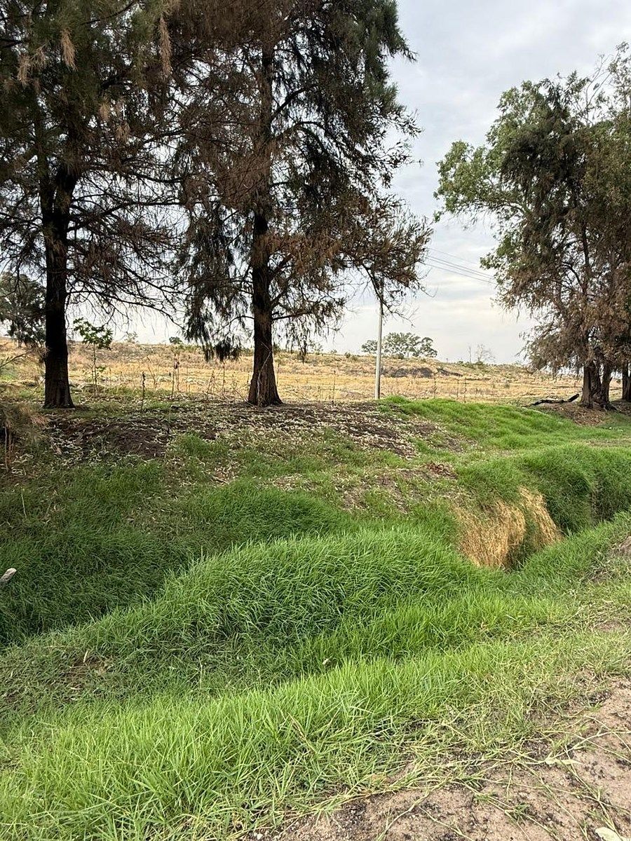 Lote em Los Abedúles, Tlajomulco de Zúñiga, foto 5 de 8