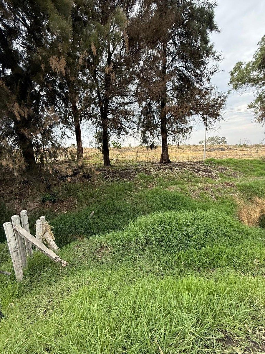 Lote em Los Abedúles, Tlajomulco de Zúñiga, foto 6 de 8