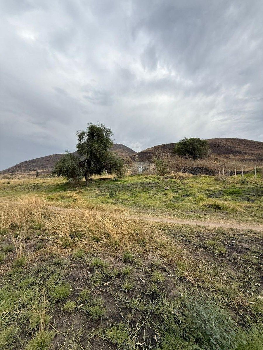 Lote em Los Abedúles, Tlajomulco de Zúñiga, foto 7 de 8