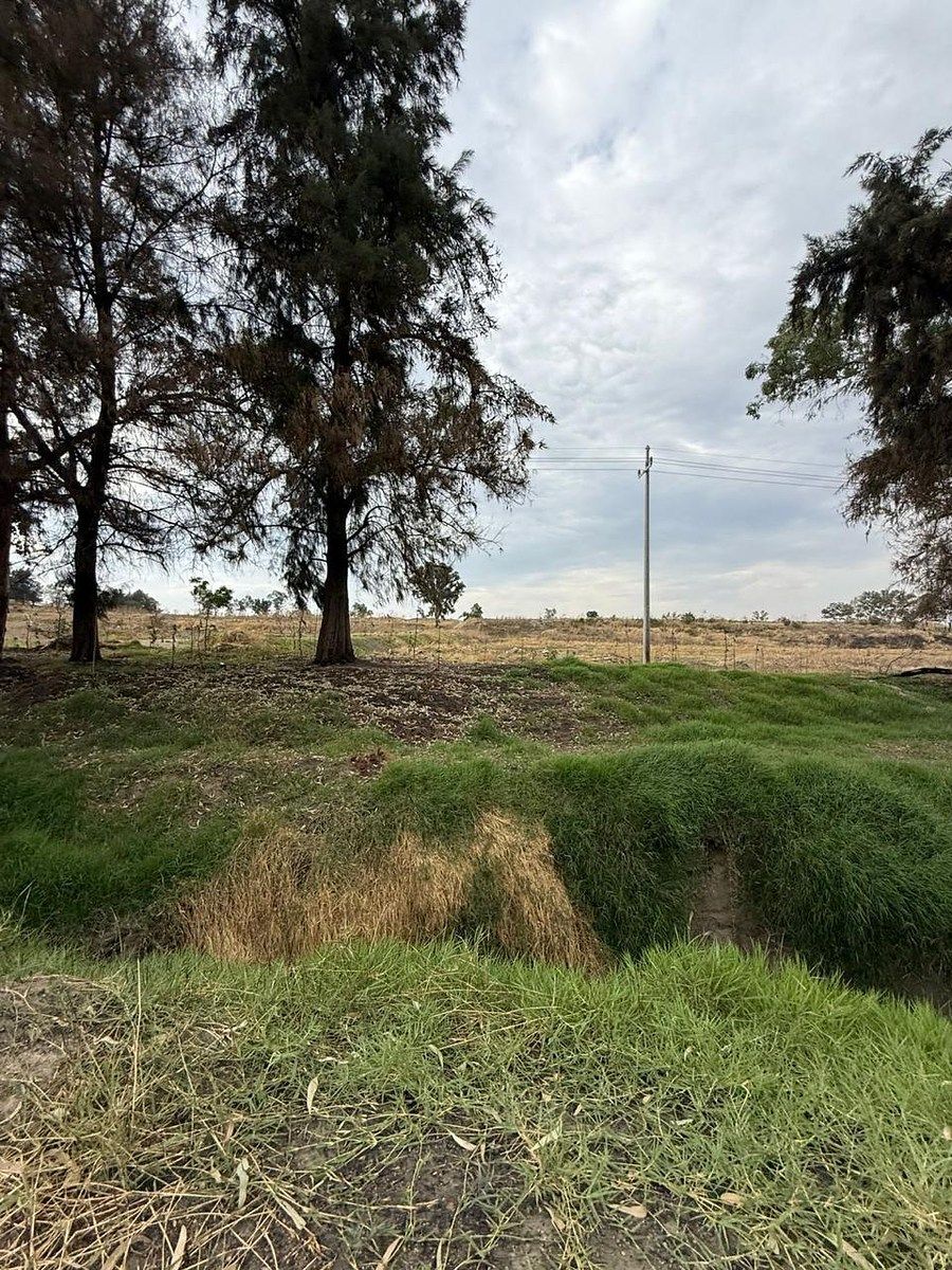 Lote em Los Abedúles, Tlajomulco de Zúñiga, foto 8 de 8