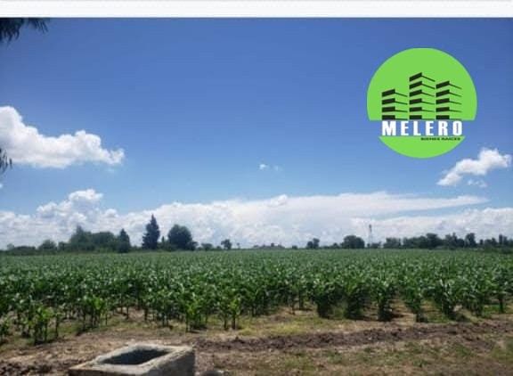 Terreno en Venta en Labor de Guadalupe