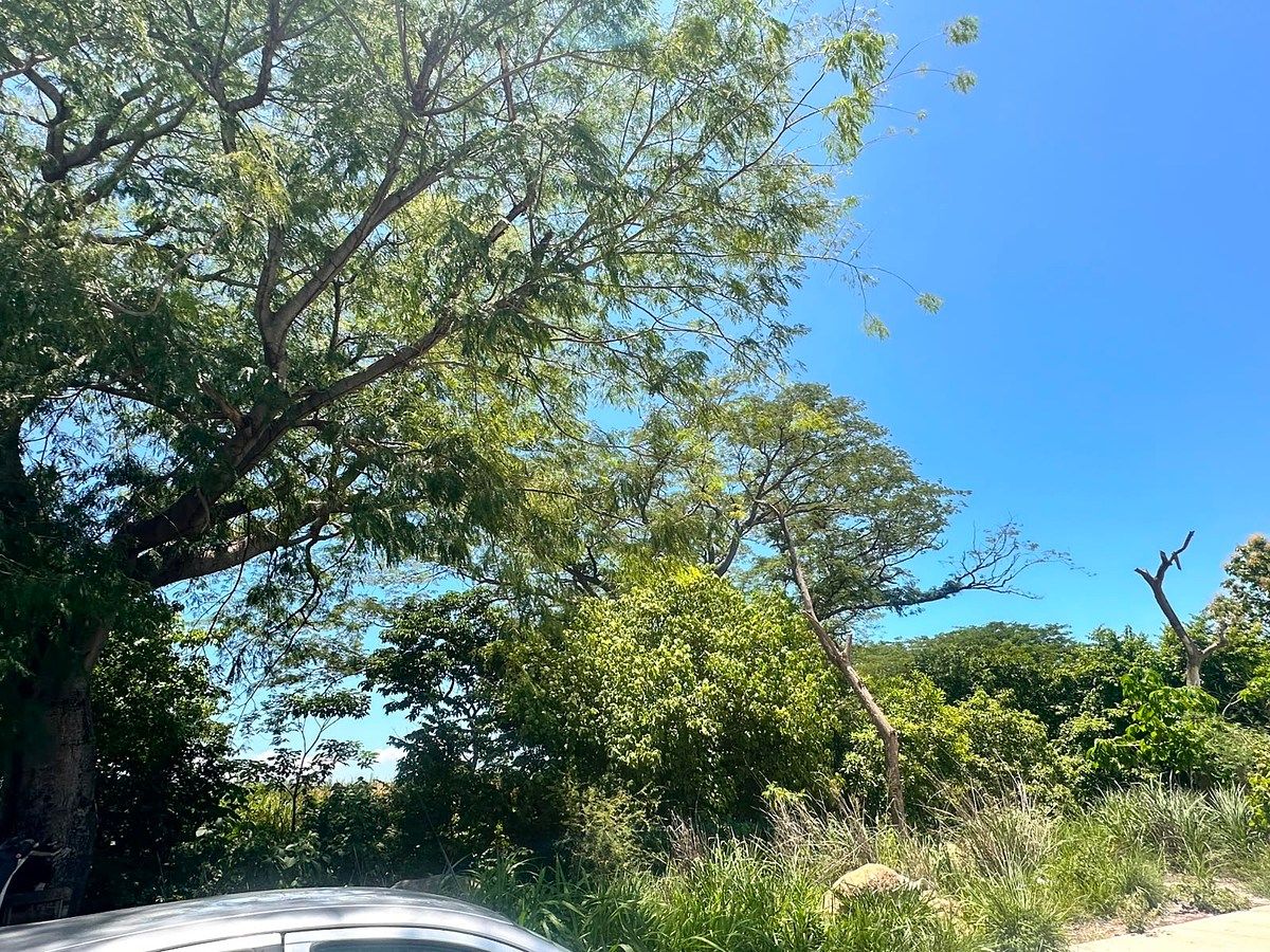 Terreno en Ciudad Natura, Villa de Alvarez, foto 9 de 10