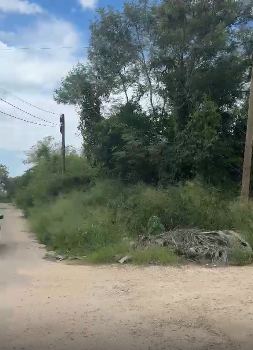 Lote em Dzityá, Mérida, foto 2 de 3