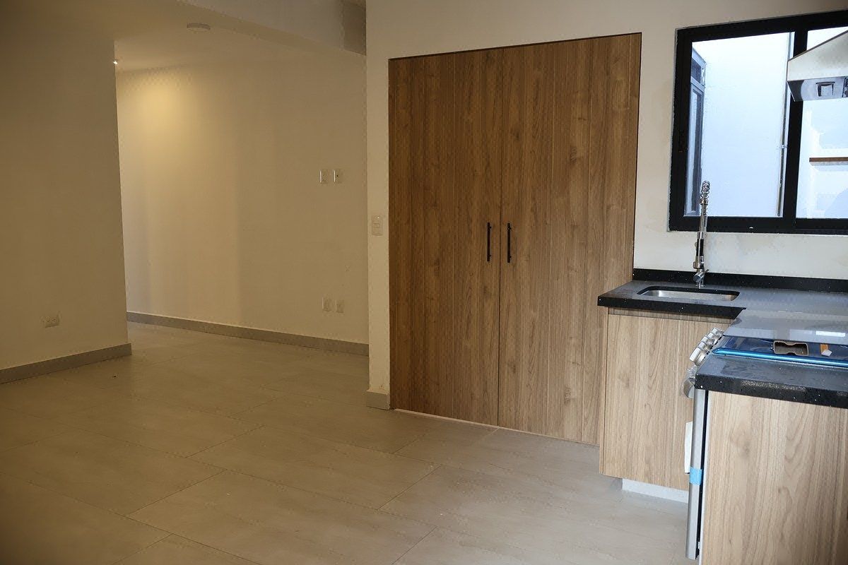 Departamento en Pedregal de Santa Ursula, Coyoacán, foto 5 de 17