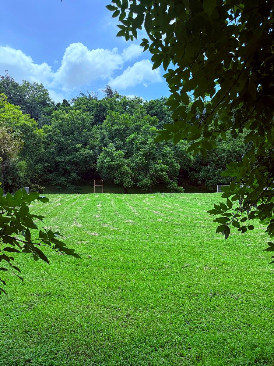 Terreno en Los Jales, Zapopan, foto 3 de 8