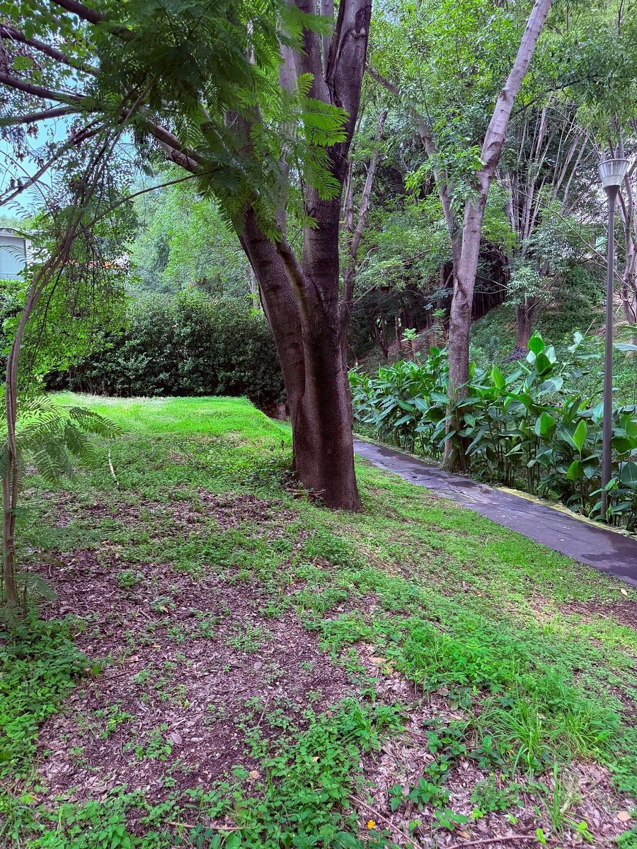 Terreno en Los Jales, Zapopan, foto 4 de 8