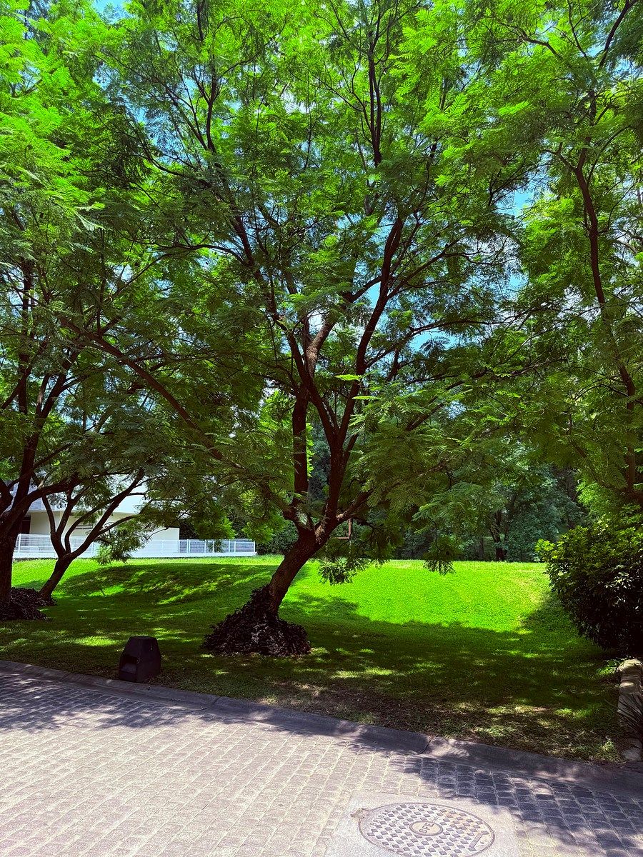 Terreno en Los Jales, Zapopan, foto 8 de 8