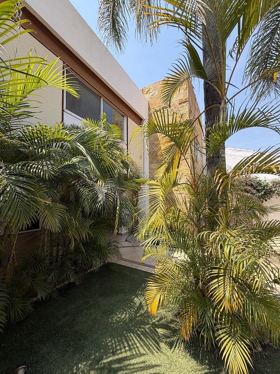 House in Jardines del Campestre, León, photo 2 of 25