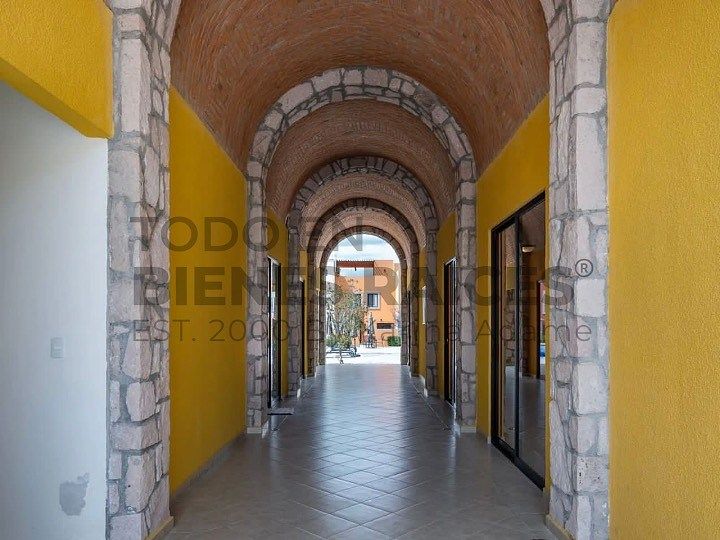 Casa en Fraccionamiento Zirándaro, San Miguel de Allende, foto 20 de 32