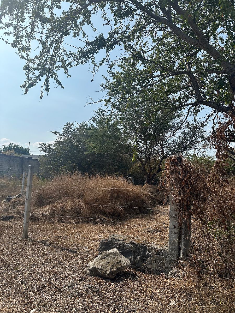 Lote em Dongú, Jilotzingo, foto 6 de 6