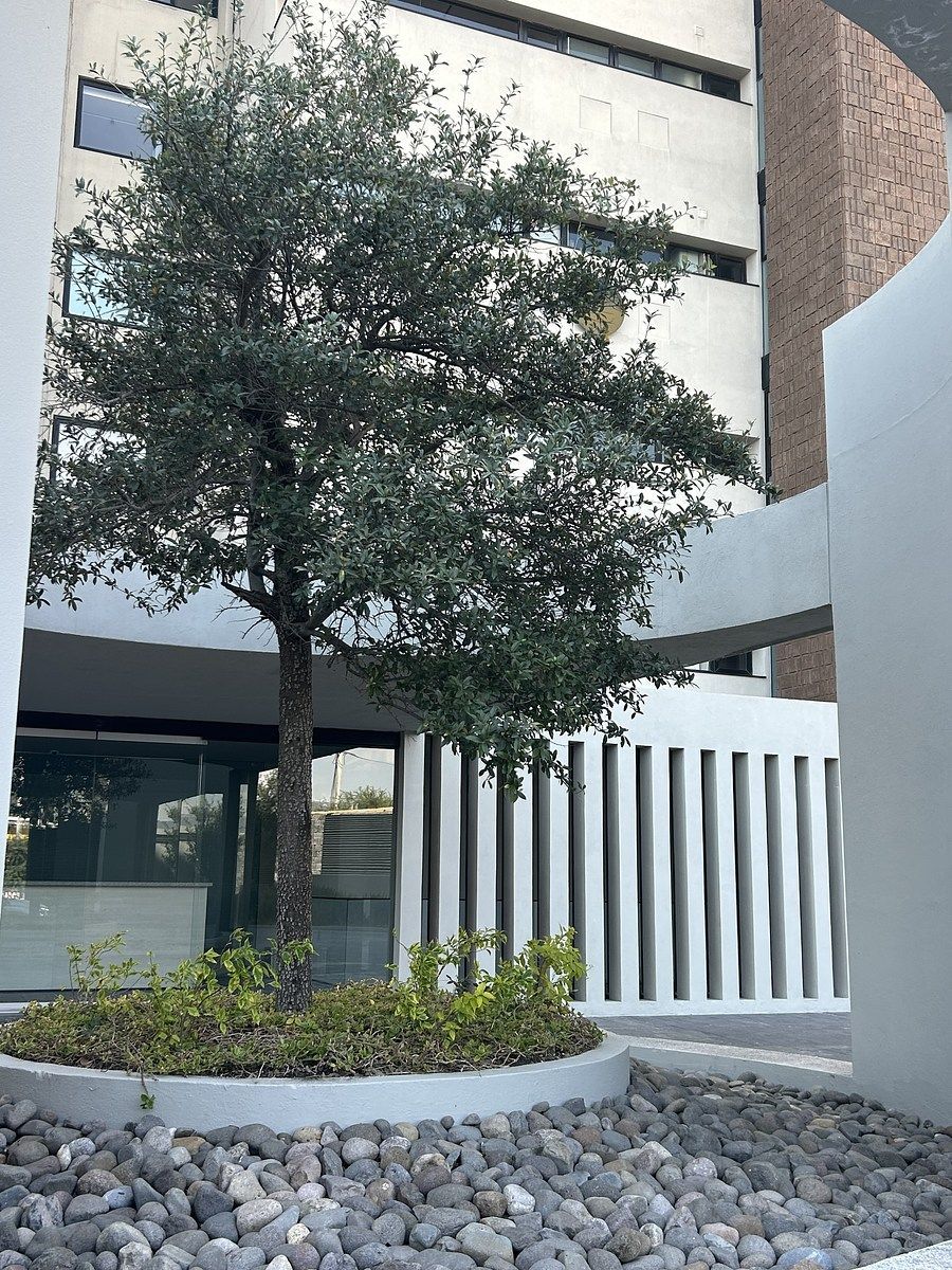 Apartment in Fray Junípero Serra, Querétaro, photo 5 of 31