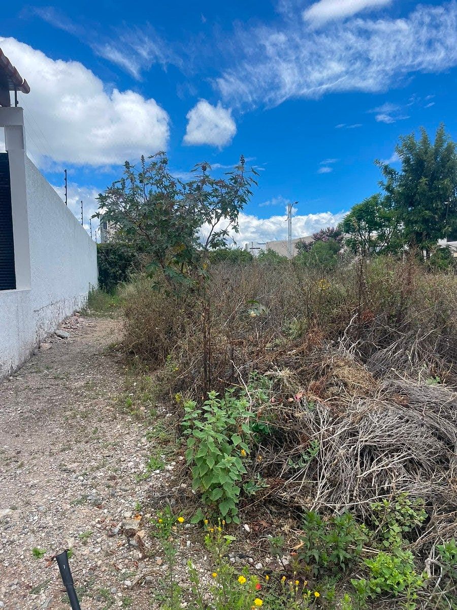 Terreno en Zibatá, El Marqués, foto 4 de 7
