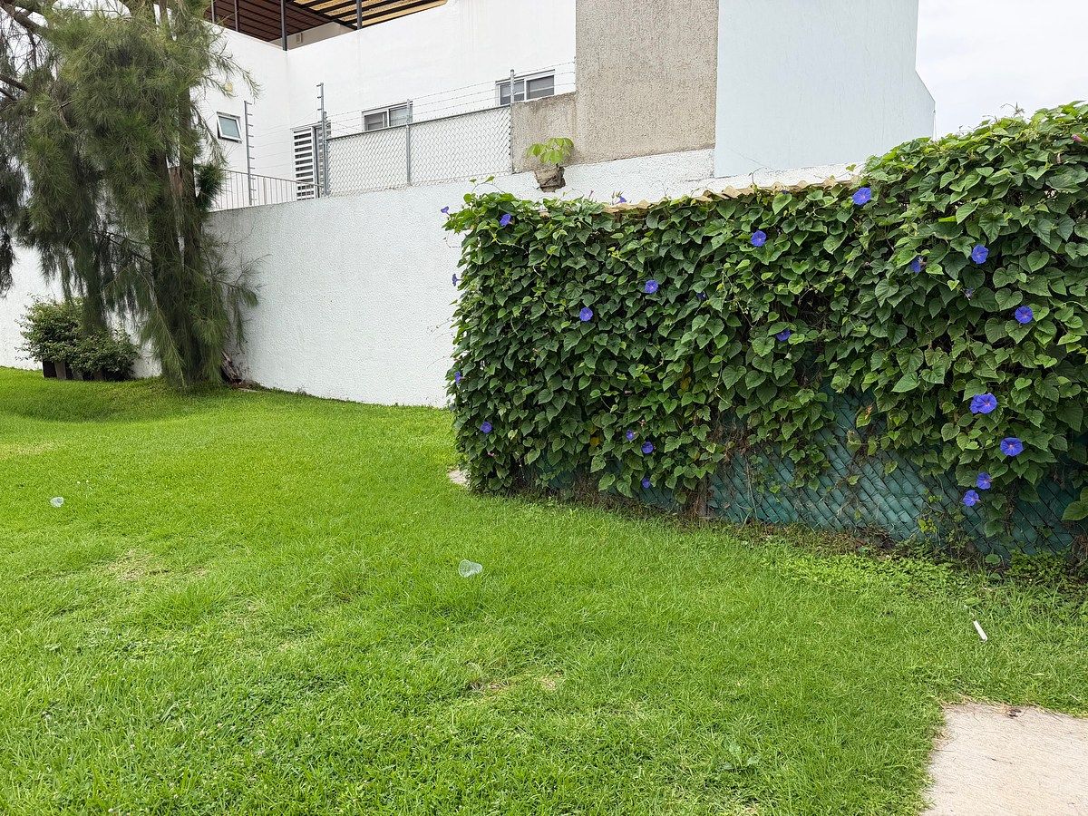Lot in Residencial Victoria, Guadalajara, photo 6 of 34