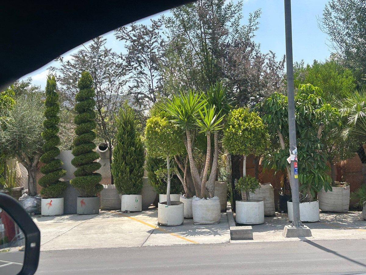 Terreno, photo 8 of 15