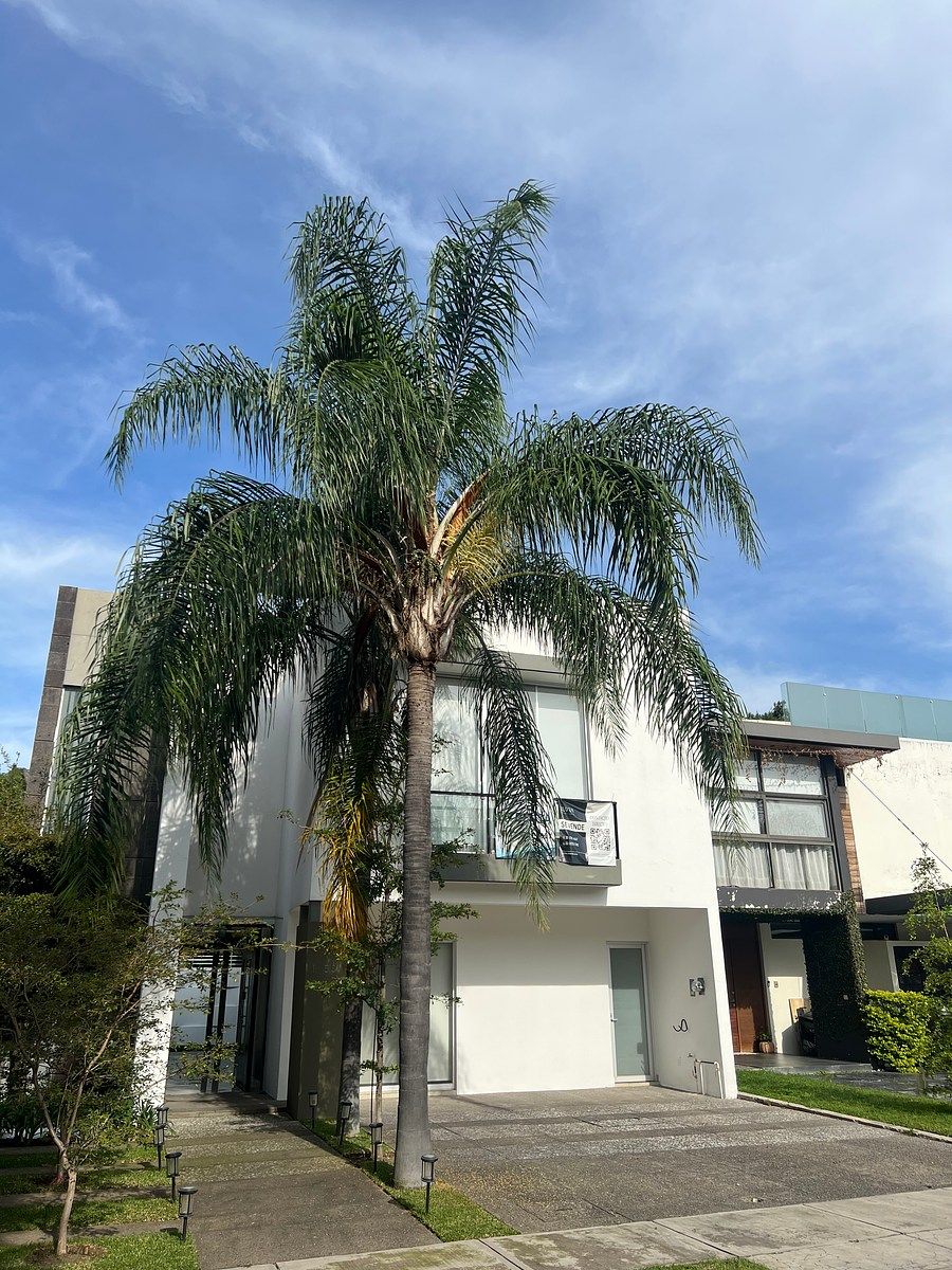 Casa en Olivos Residencial, Zapopan, foto 21 de 35