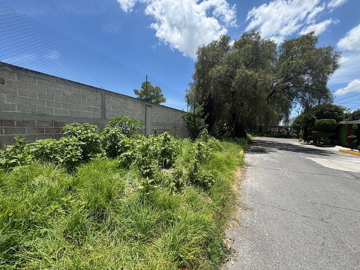 Terreno en San Sebastián, Zumpango, foto 3 de 50