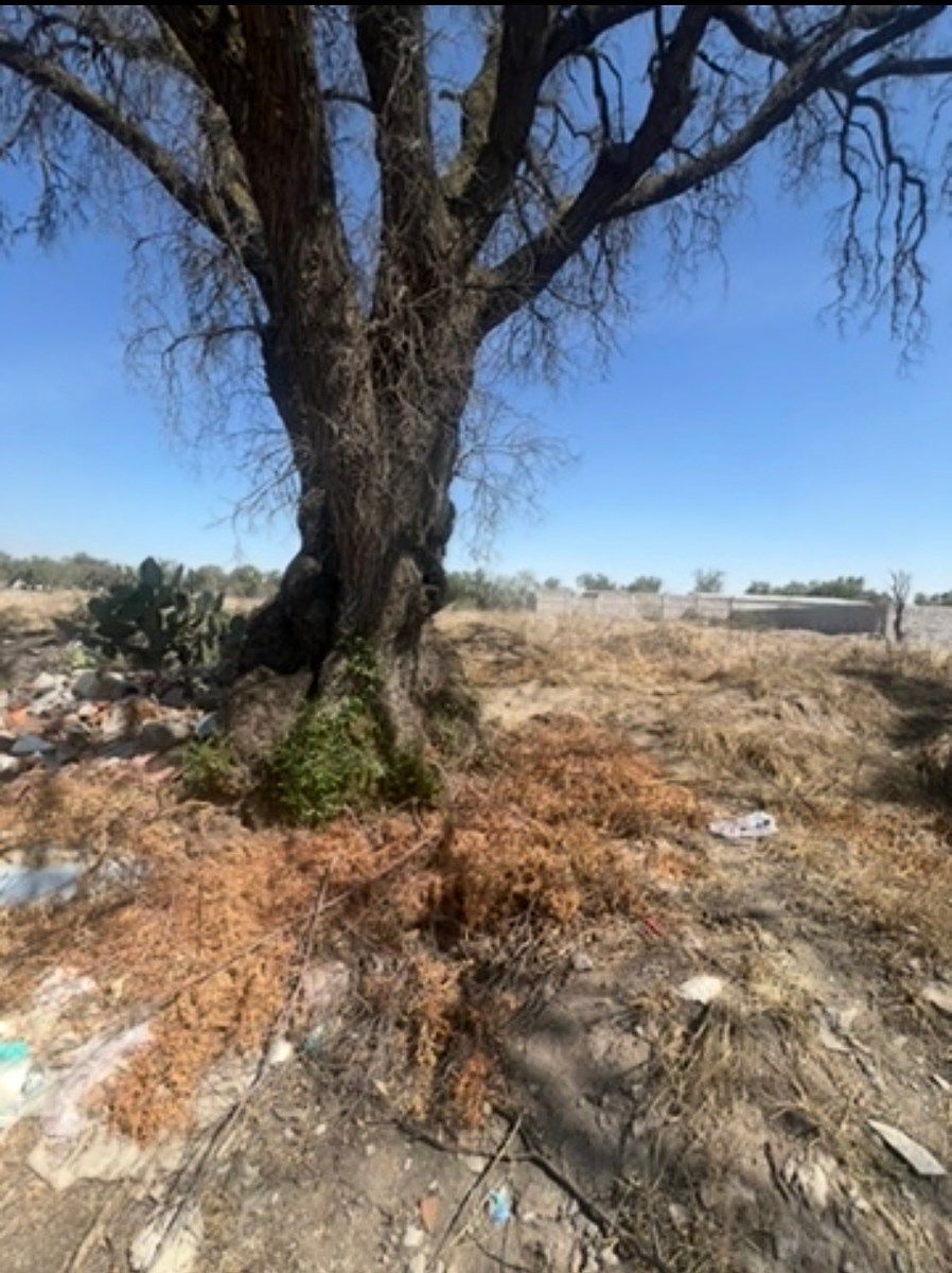 Terreno en San Sebastián, Zumpango, foto 32 de 50