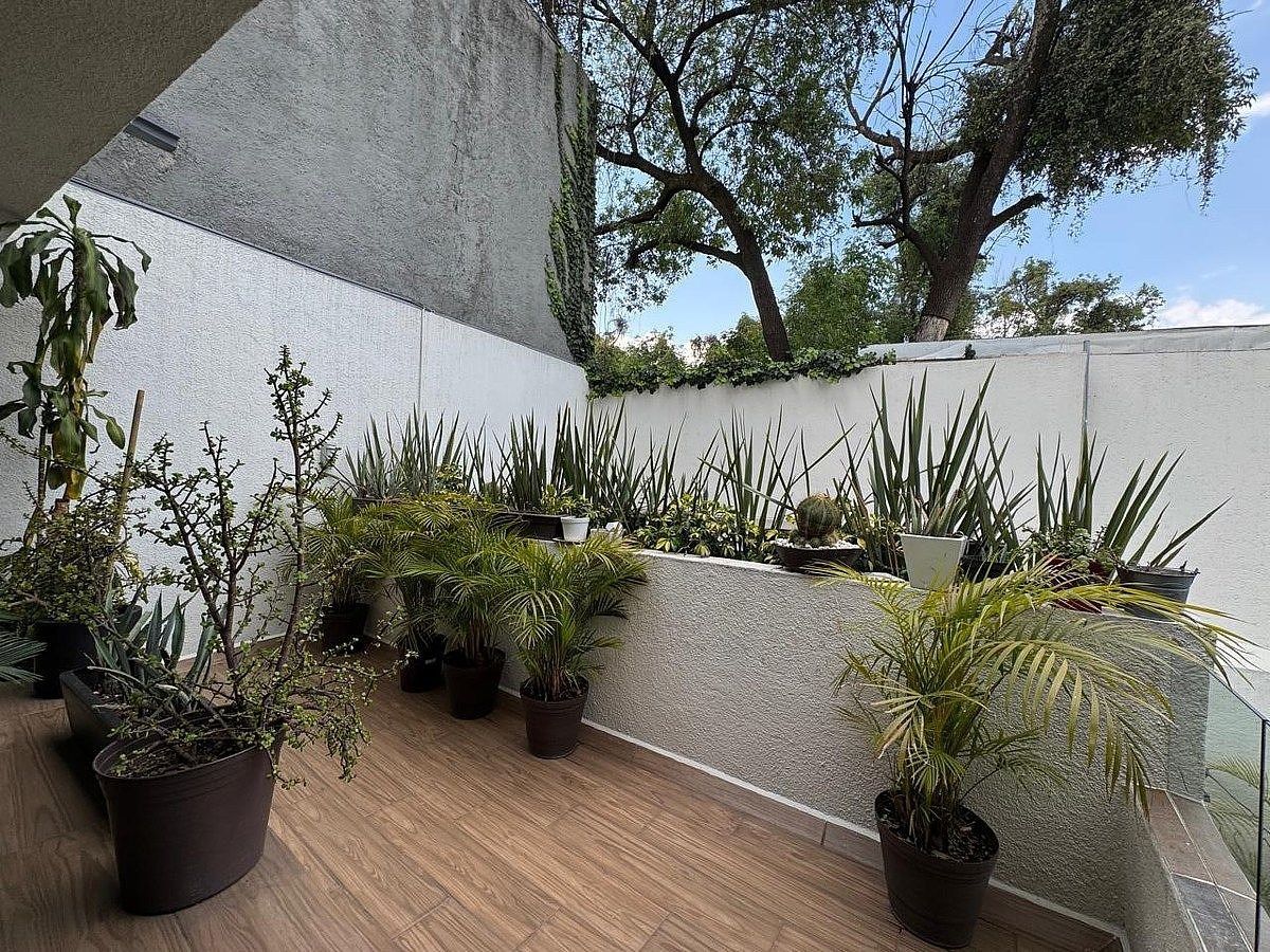 Casa em Bosques de Tetlameya, Coyoacán, foto 32 de 38
