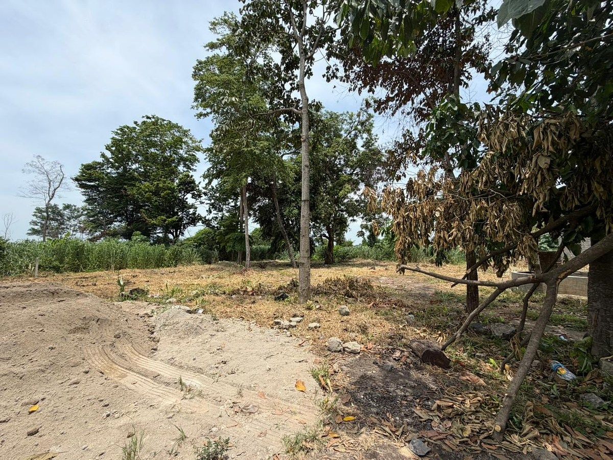 Lot in Santa Clara, Tapachula, photo 6 of 7
