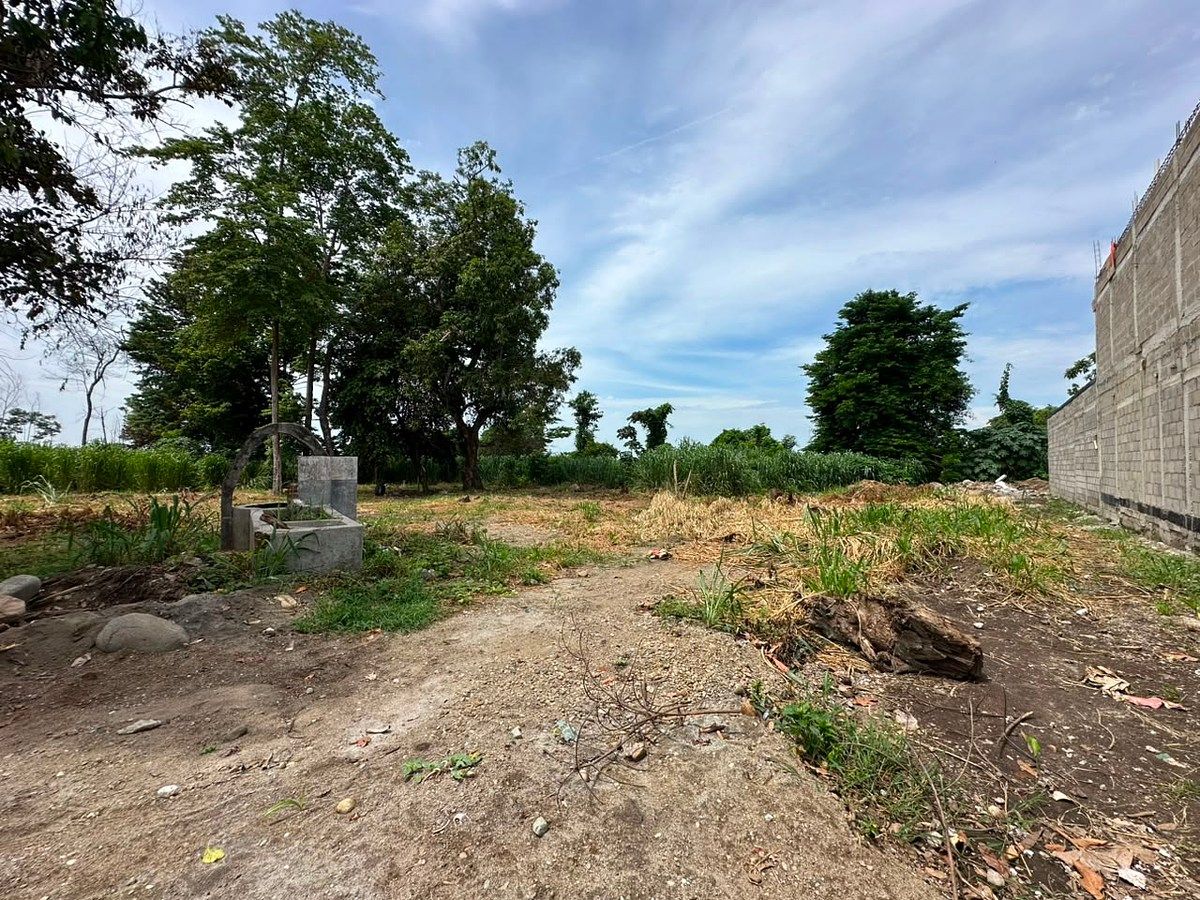 Land for sale in Santa Clara Tapachula, photo 1 of 7
