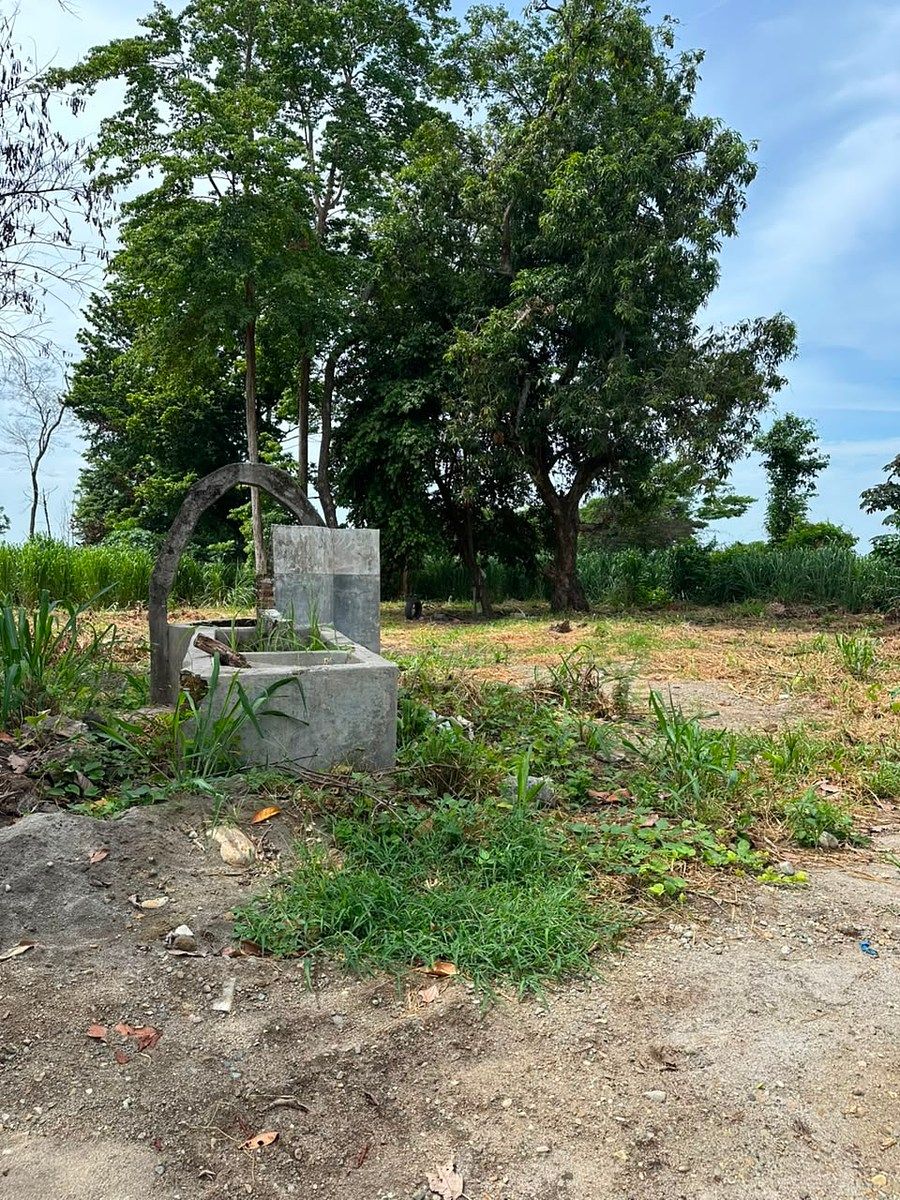 Lot in Santa Clara, Tapachula, photo 7 of 7