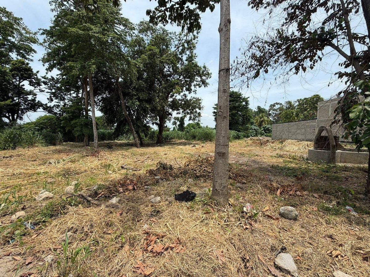 Lot in Santa Clara, Tapachula, photo 3 of 7