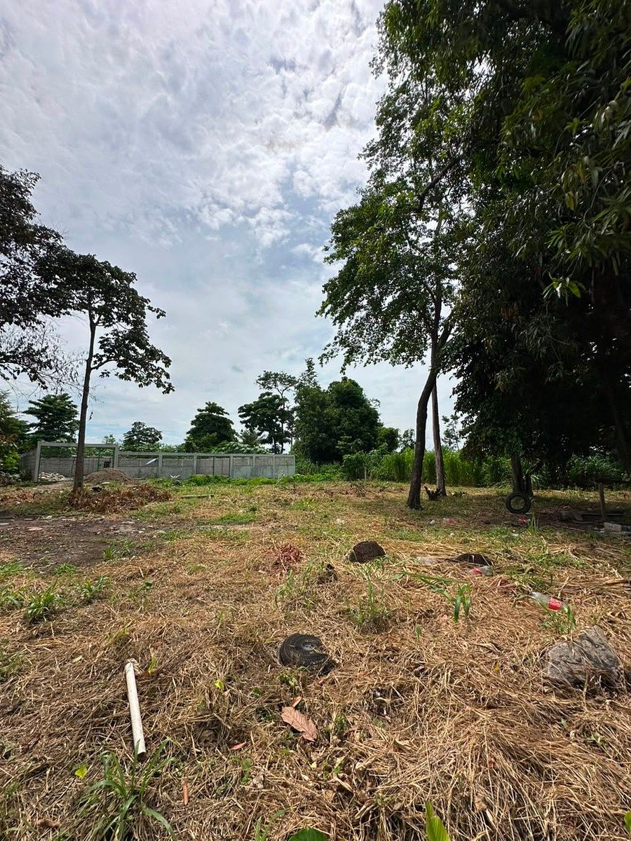 Lot in Santa Clara, Tapachula, photo 2 of 7