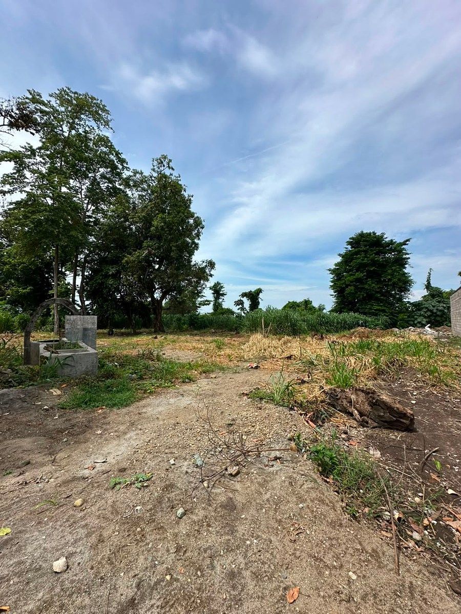 Lot in Santa Clara, Tapachula, photo 4 of 7