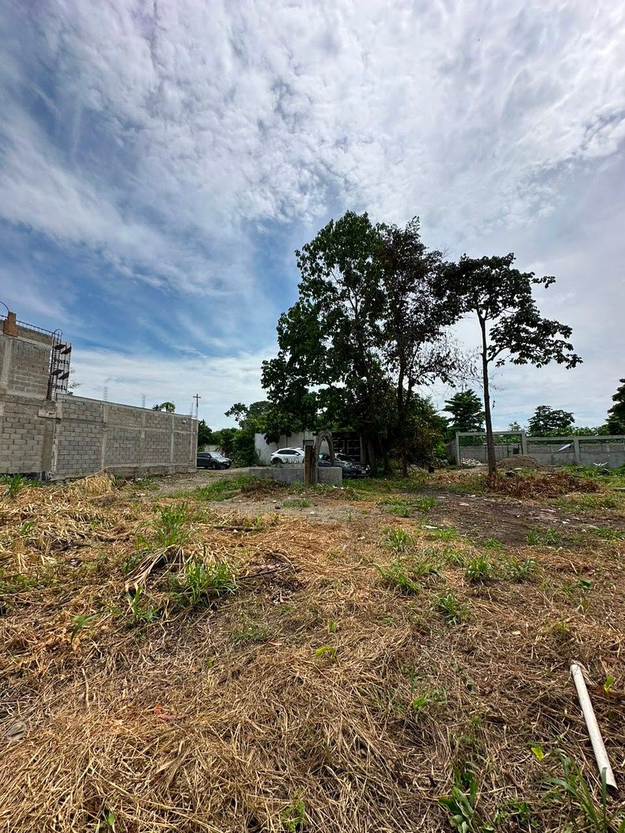 Lot in Santa Clara, Tapachula, photo 5 of 7