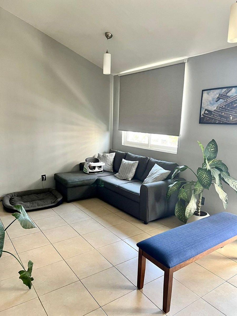 Apartment in Contadero, Cuajimalpa de Morelos, photo 5 of 21