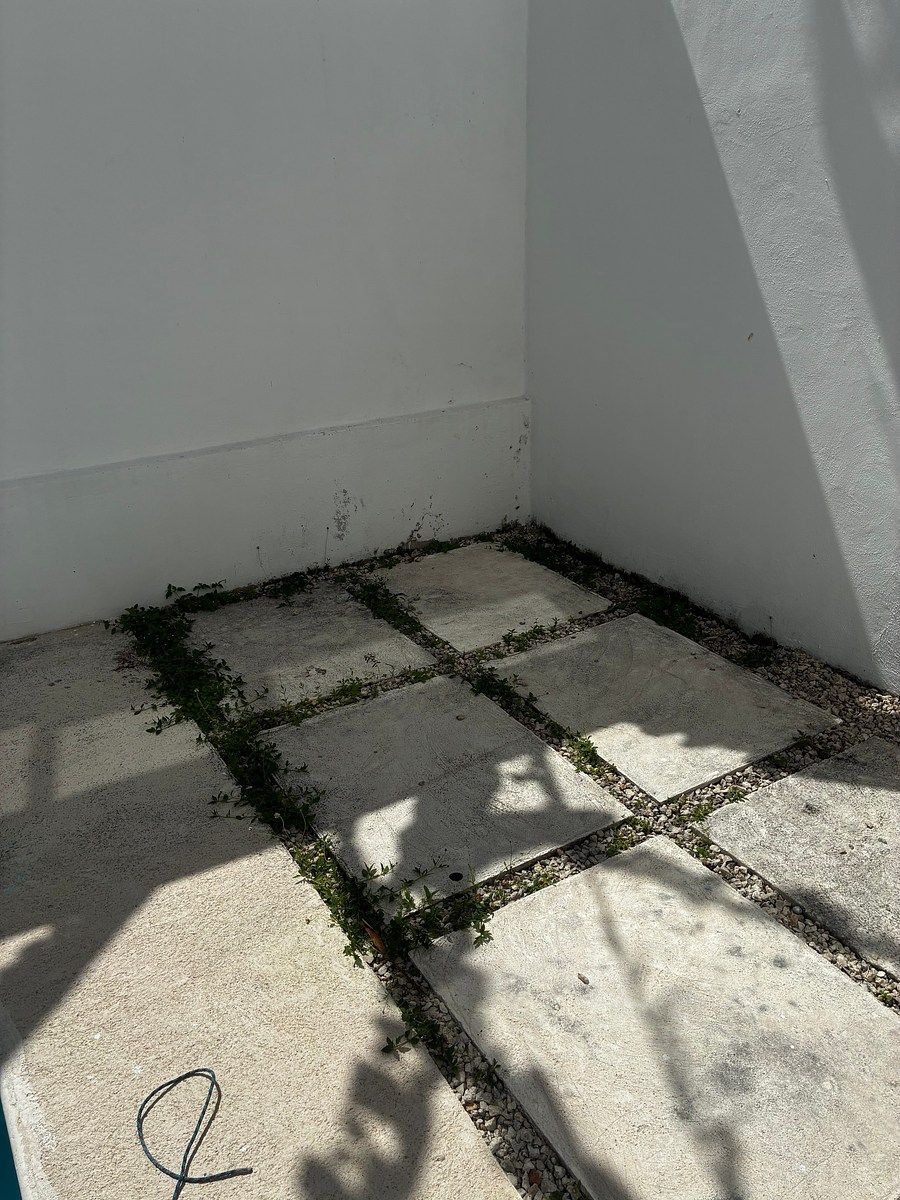 Casa em Buenavista, Mérida, foto 4 de 27