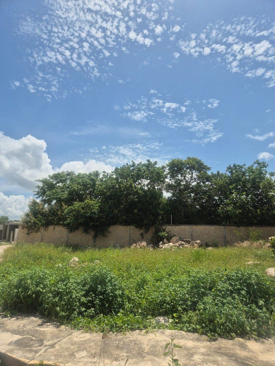 Lote em Cholul, Mérida, foto 11 de 13