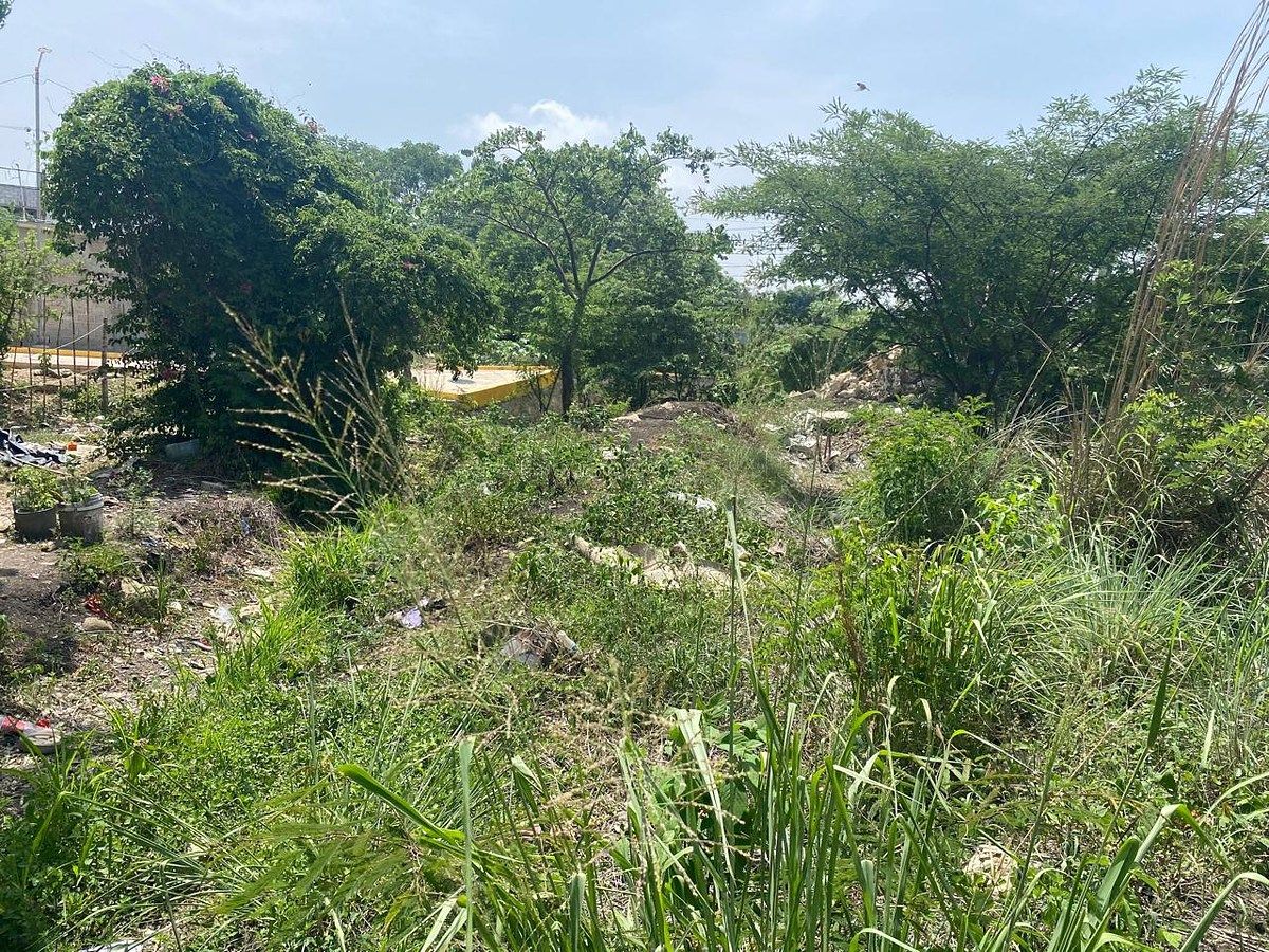 Terreno en Linda Vista, Berriozábal, foto 6 de 11