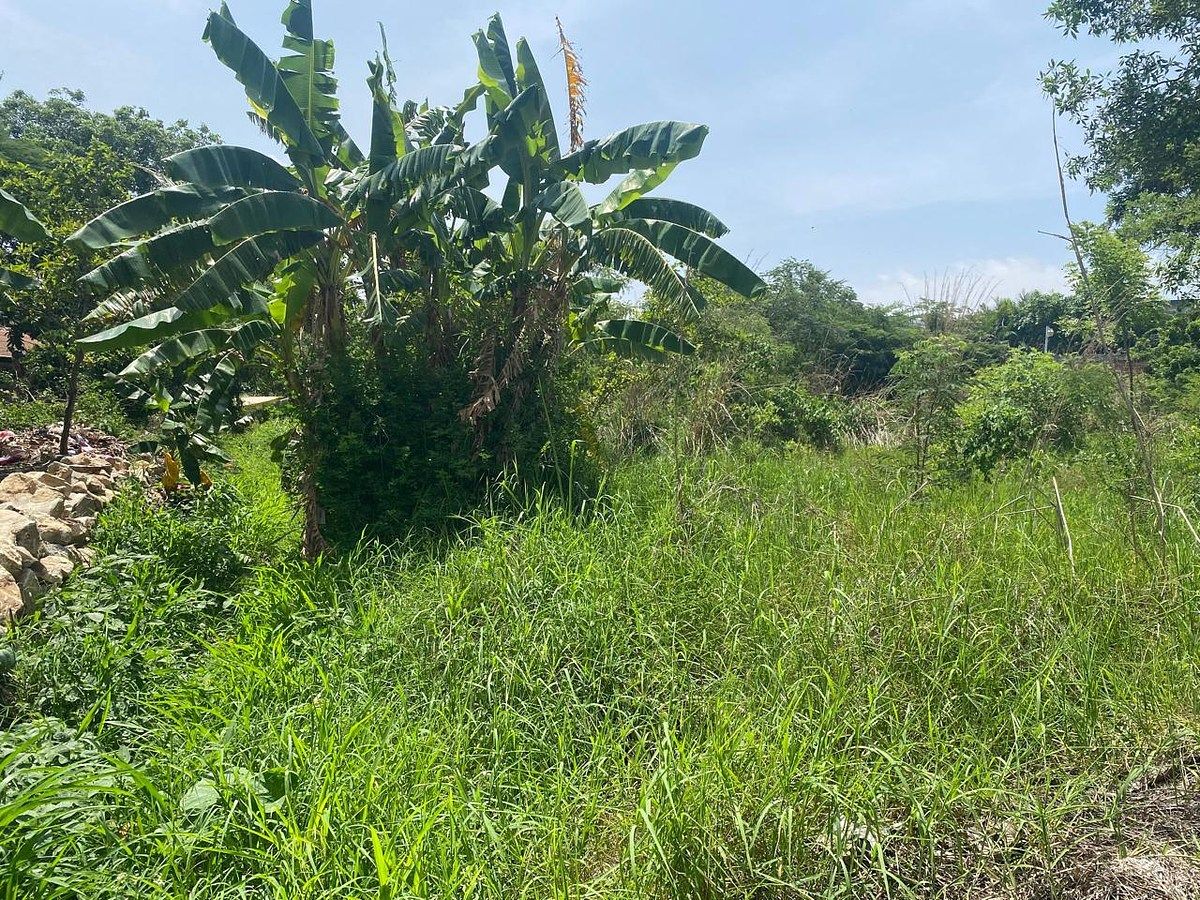 Terreno en Linda Vista, Berriozábal, foto 4 de 11