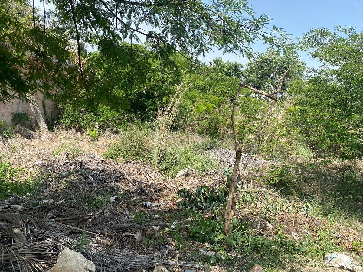 Terreno en Linda Vista, Berriozábal, foto 9 de 11