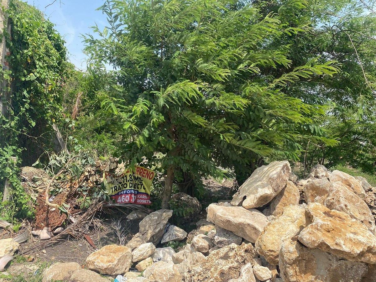 Terreno en Linda Vista, Berriozábal, foto 11 de 11