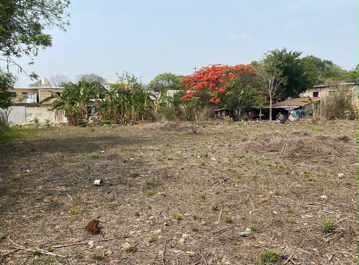 🌿✨ Terreno en Venta, Linda Vista, Berriozábal, Chiapas, foto 1 de 11