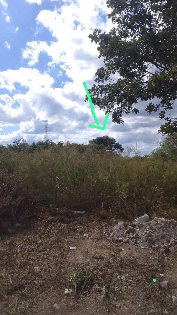 Land in Dzityá, Mérida, photo 1 of 3