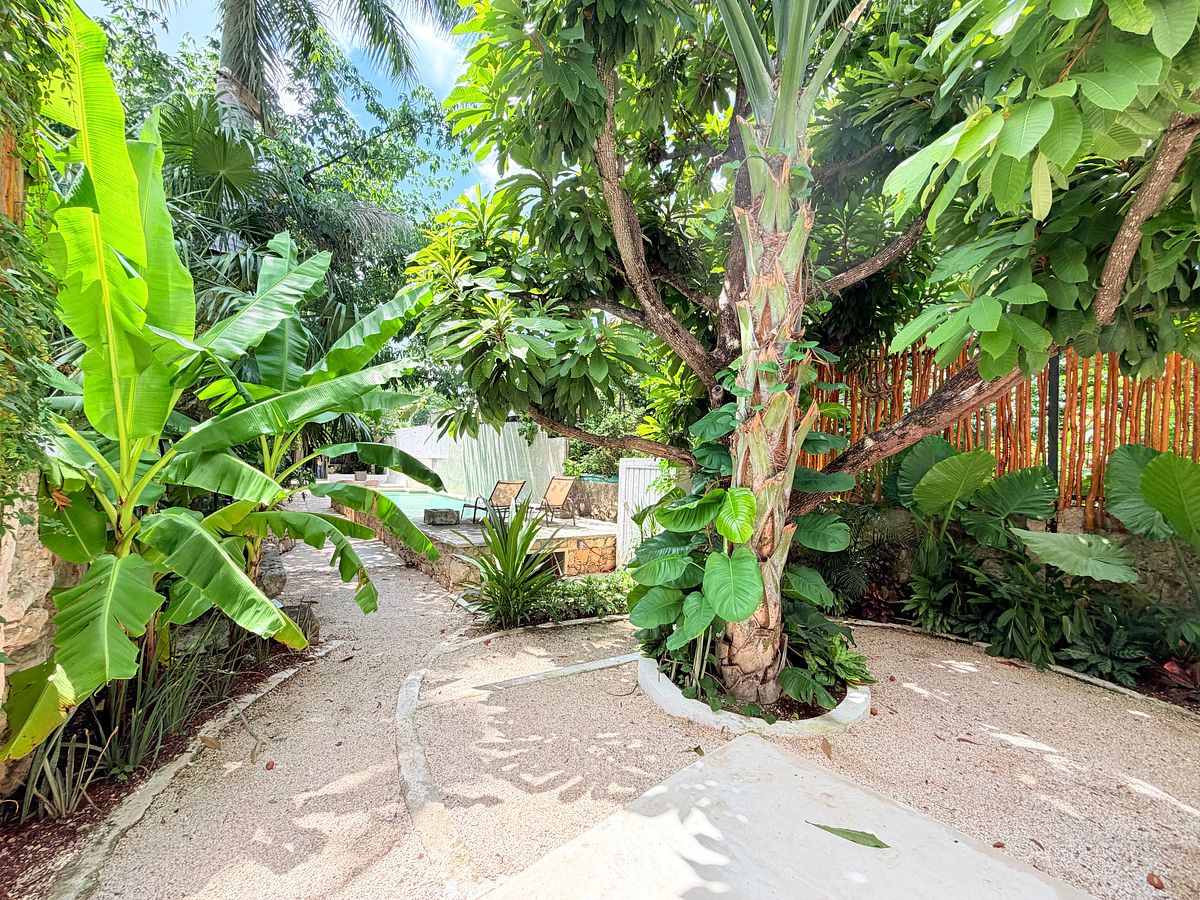 Casa com uso comercial em Mérida Centro, Mérida, foto 23 de 45