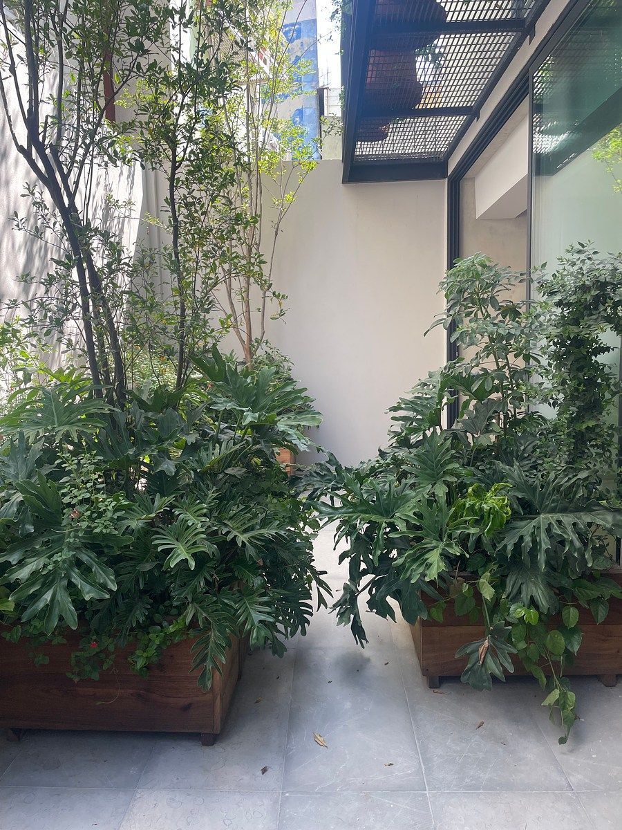 Apartamento em Juárez, Cuauhtémoc, foto 22 de 23