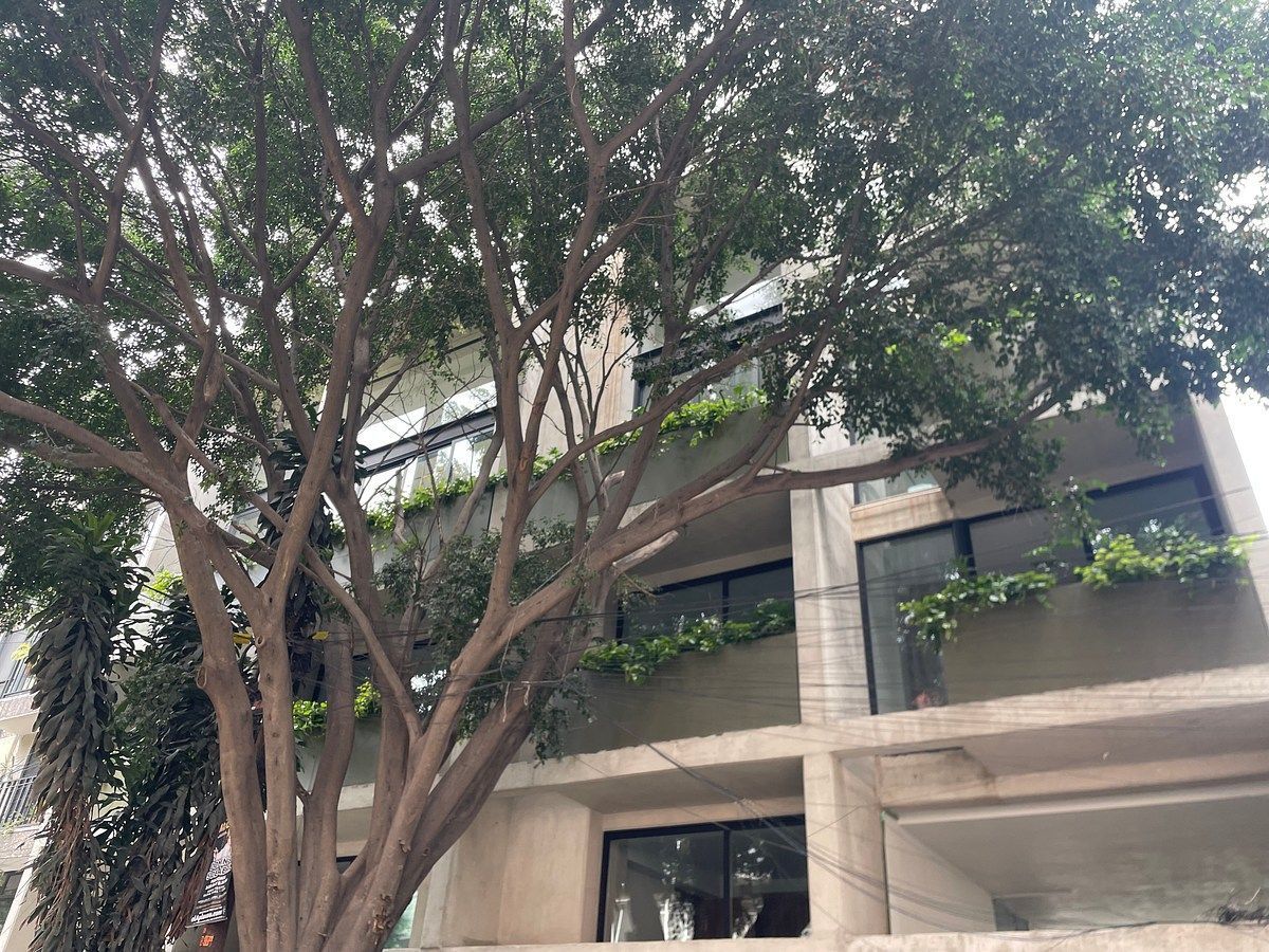 Departamento en Juárez, Cuauhtémoc, foto 12 de 15