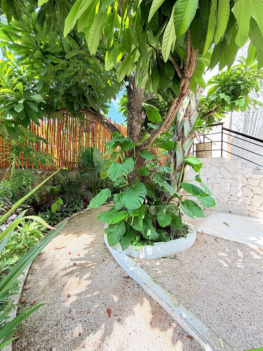 Casa em Mérida Centro, Mérida, foto 10 de 48