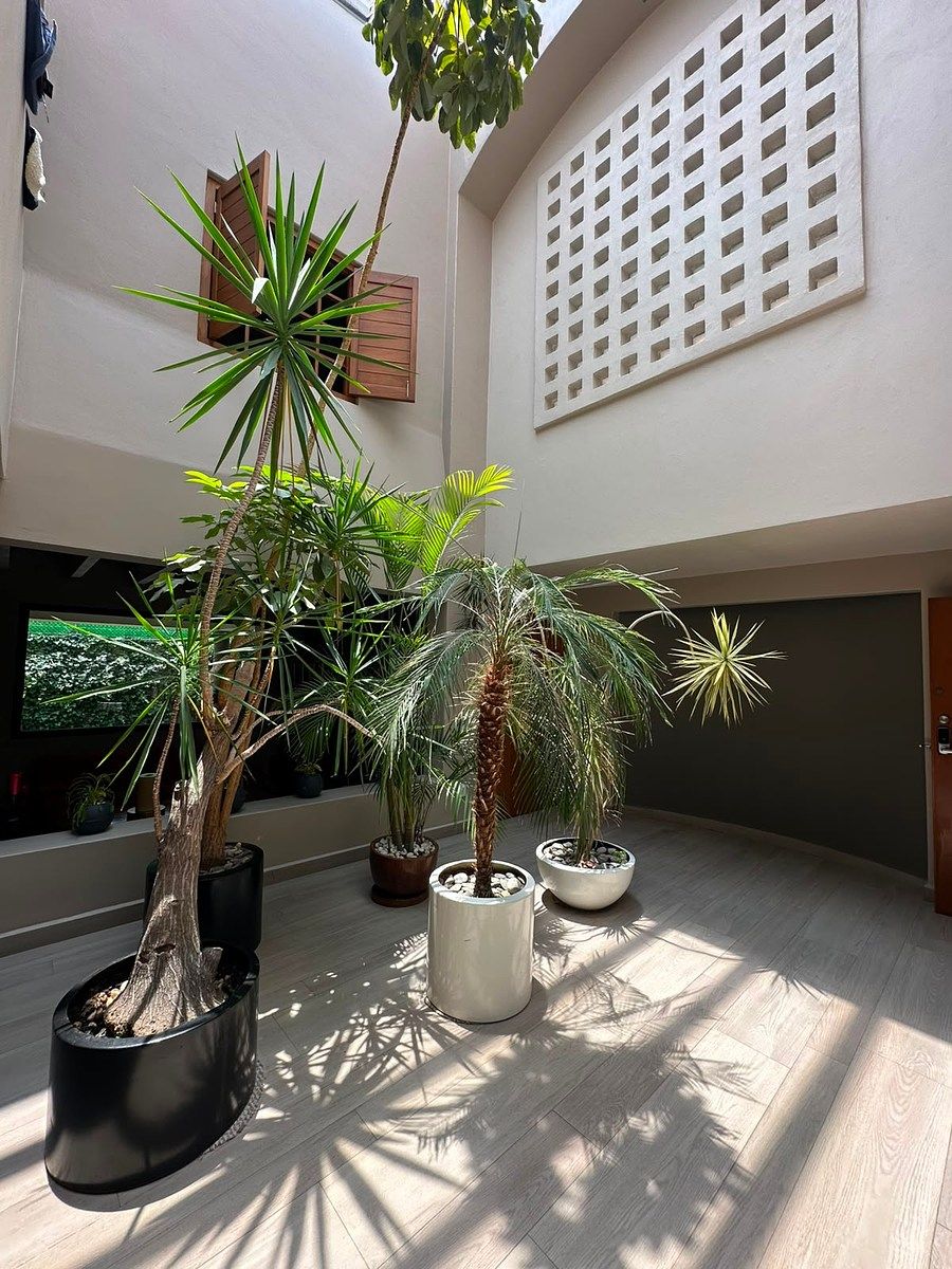Casa en condominio en Las Águilas, Álvaro Obregón, foto 2 de 31
