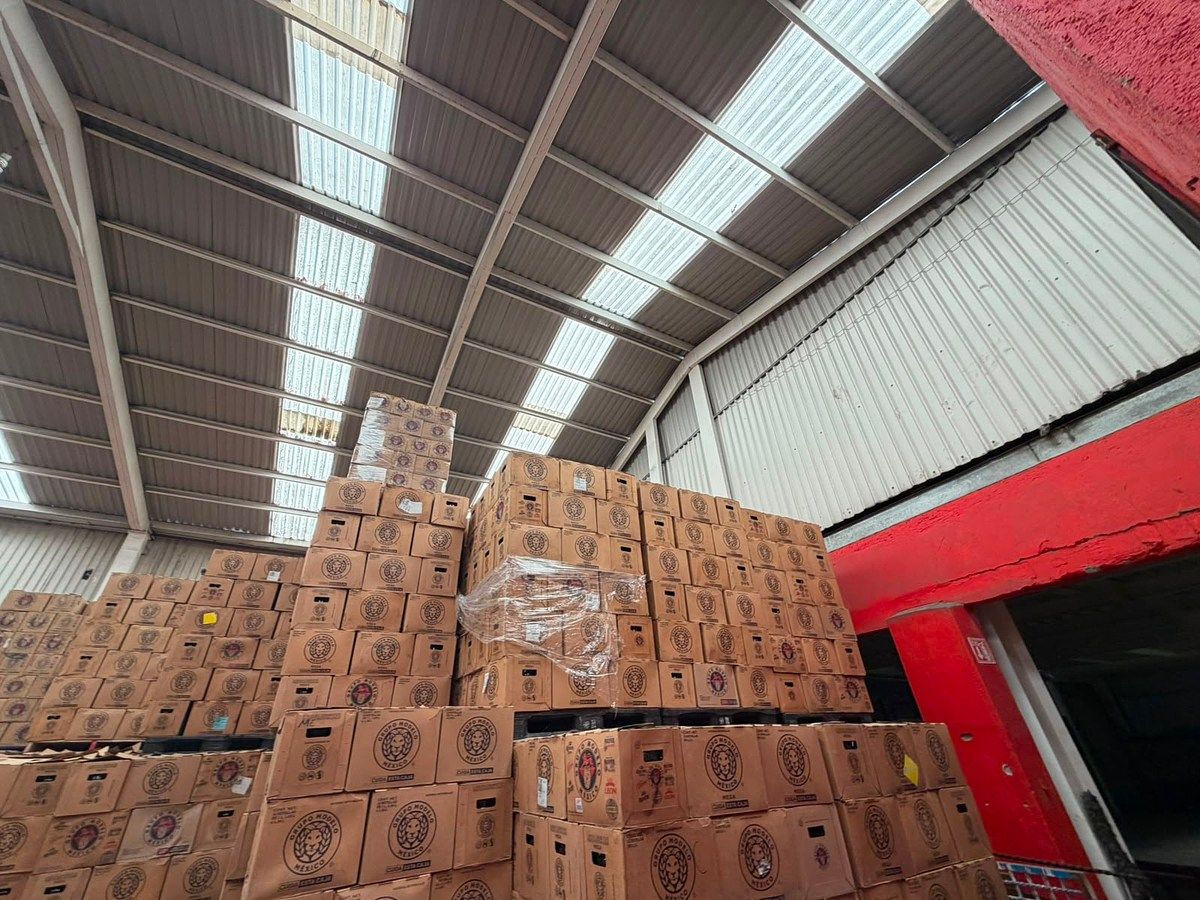 Bodega comercial en Romita, Cuautitlán, foto 6 de 7