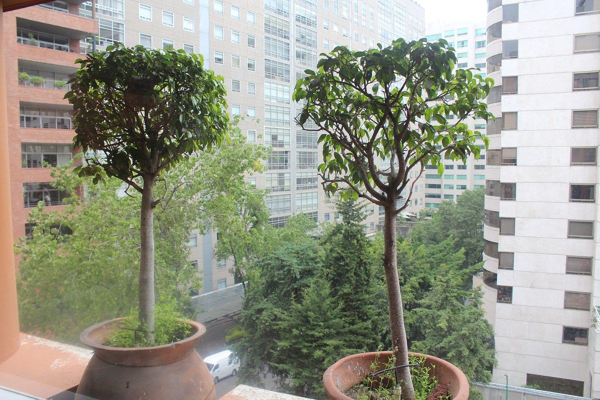 Departamento en Venta o Renta | Privada de Tamarindos, Bosques de las Lomas, foto 1 de 20